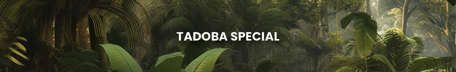 Tadoba Special