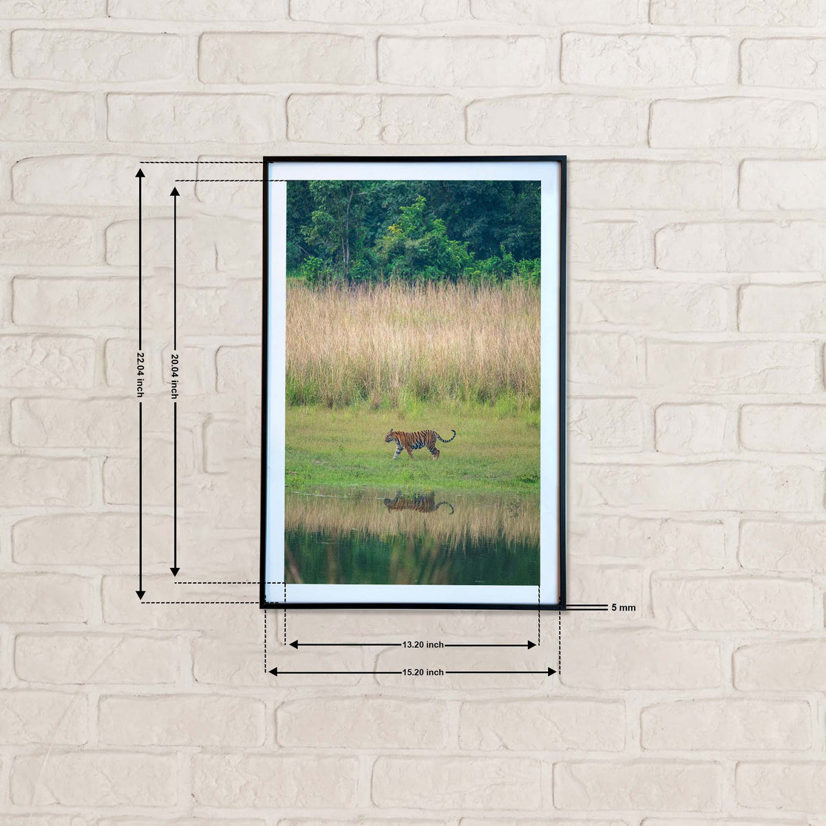 A majestic stroll by the lake, where tall grasses meet tranquil waters  -  Photograph Print with Frame