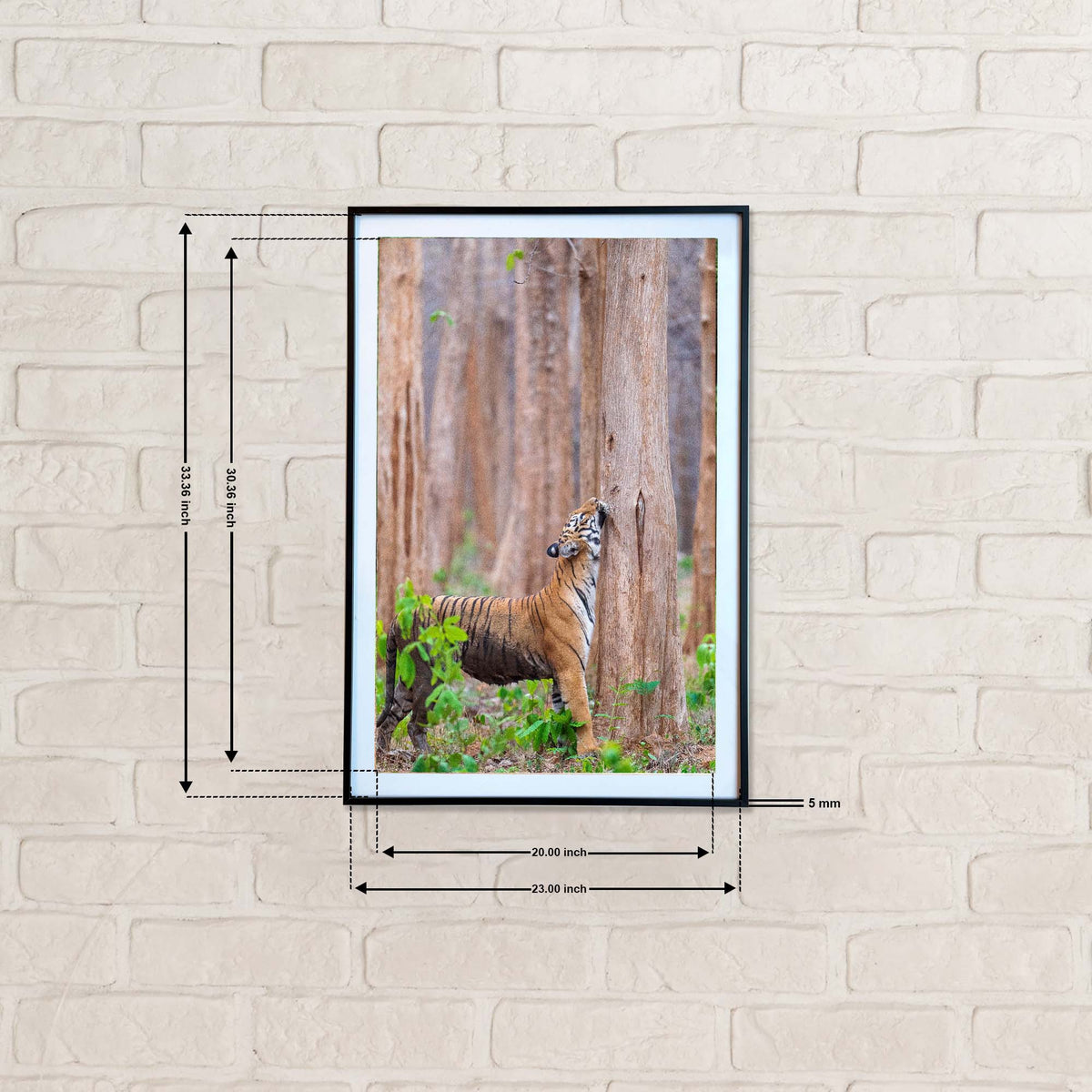 That's what I call a satisfying neck scratch -  Photograph Print with Frame