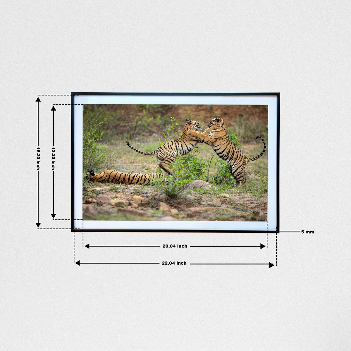 Playtime for some, slumber time for some -  Photograph Print with Frame