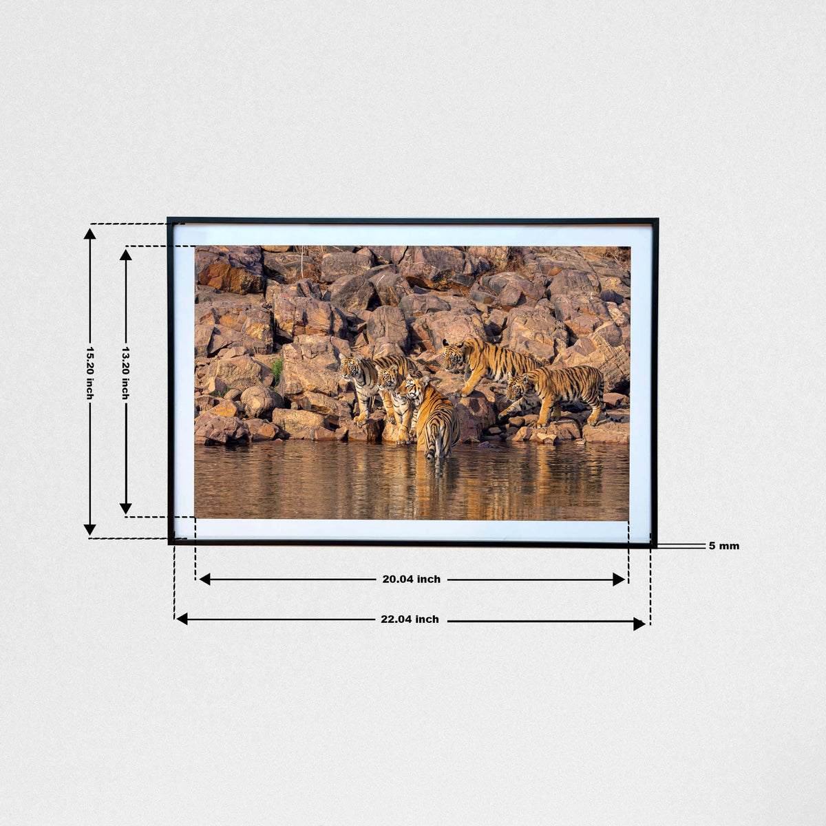 At the lake's edge, soaking in the sun -  Photograph Print with Frame