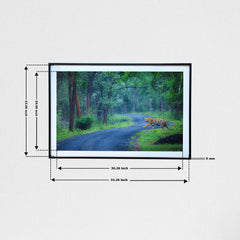 When the jungle's your domain, every road is yours -  Photograph Print with Frame