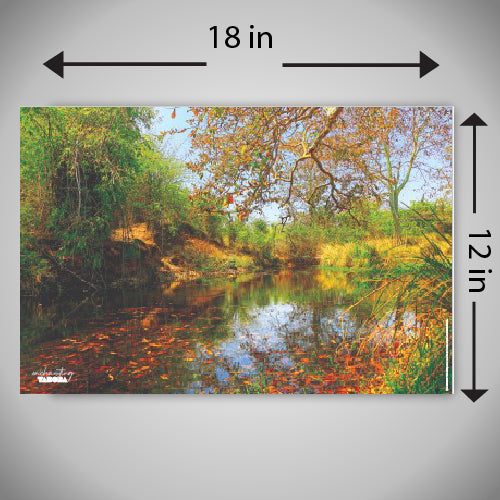 Enchanting Landscape River - A wildlife inspired high quality printed wall decorative poster