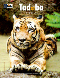 Tadoba Diaries - June 2022 (Digital only)