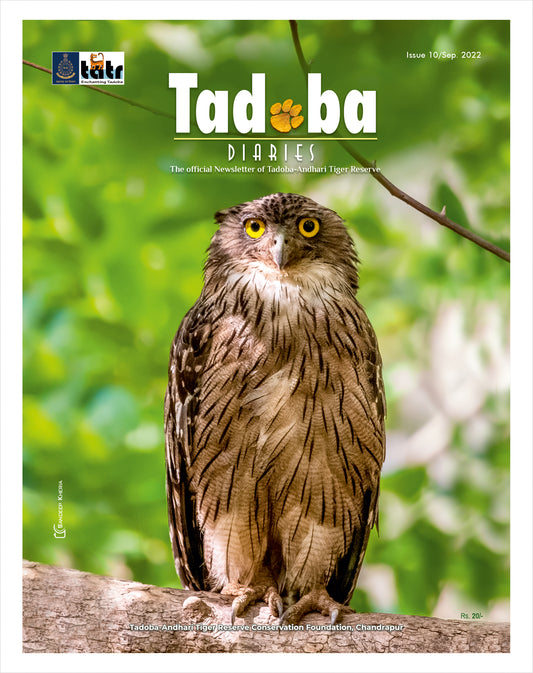 Tadoba Diaries - September 2022 (Digital only)