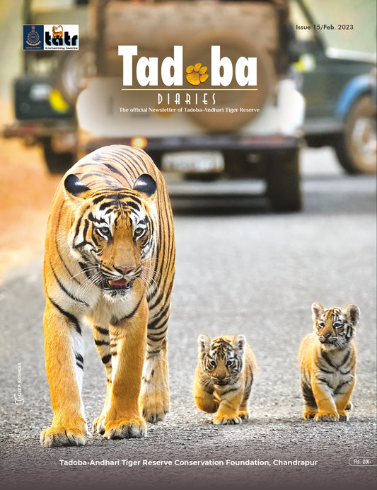 Tadoba Diaries - February 2023 (Digital only)