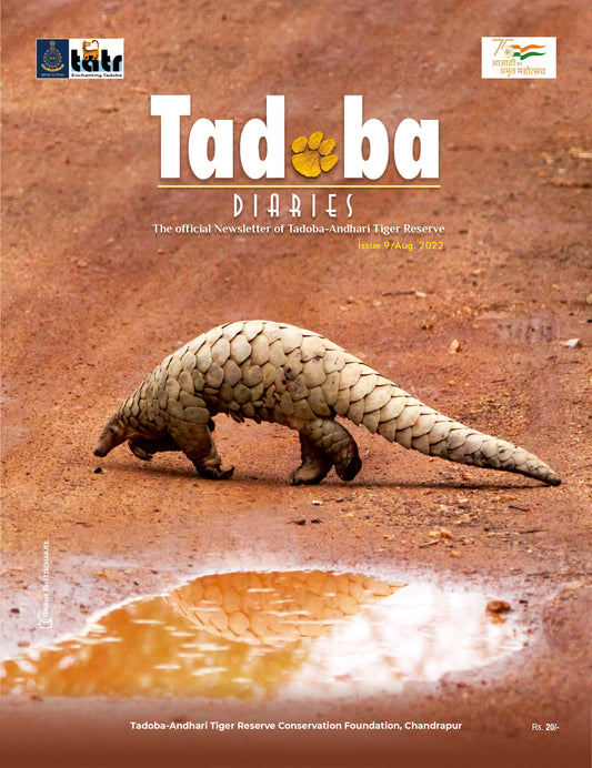 Tadoba Diaries - August 2022 (Digital only)