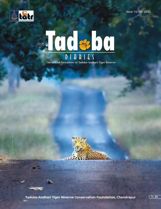 Tadoba Diaries - January 2023 (Digital only)