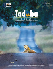 Tadoba Diaries - January 2023 (Digital only)