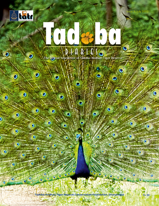 Tadoba Diaries - July 2022 (Digital only)