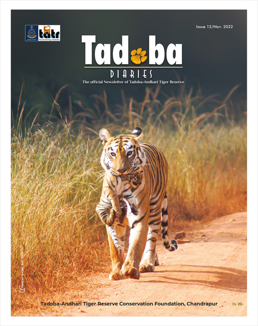 Tadoba Diaries - November 2022 (Digital only)
