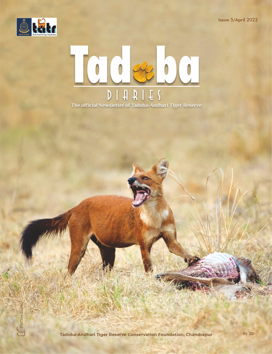 Tadoba Diaries - April 2022 (Digital only)