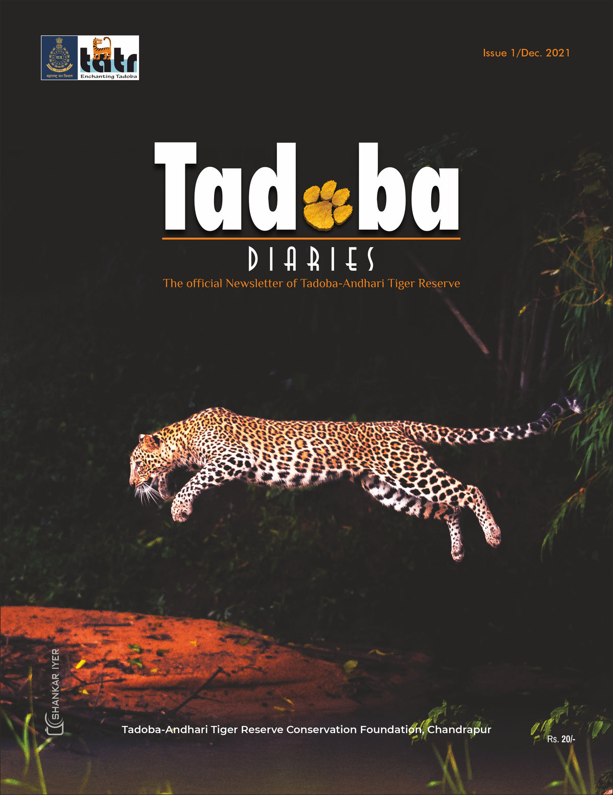 Tadoba Diaries - December 2021 (Digital only)