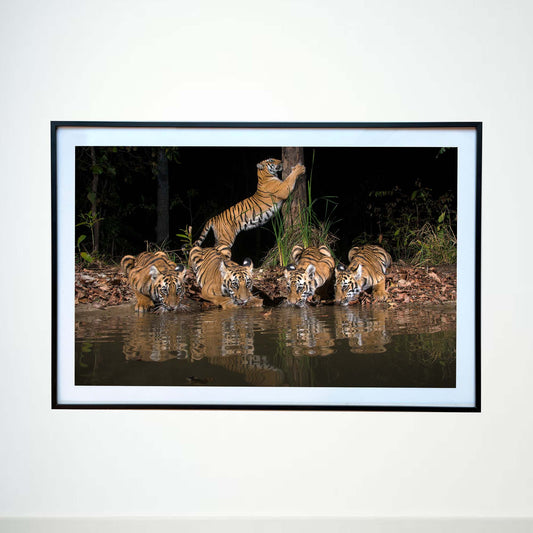 A family night-out -  Photograph Print with Frame