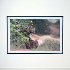 When you're not in the mood for company -  Photograph Print with Frame