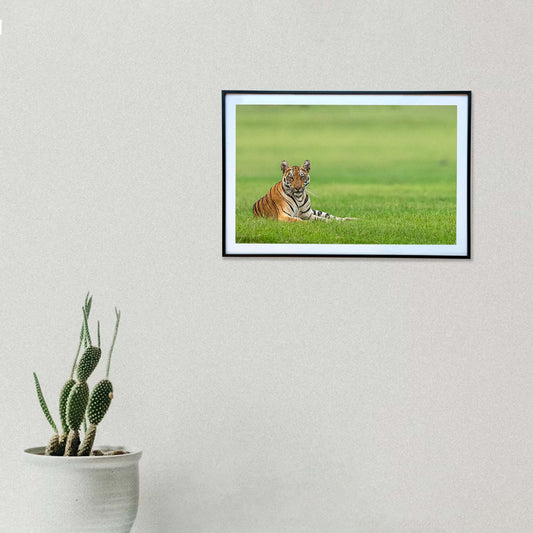 The King in his emerald kingdom -  Photograph Print with Frame