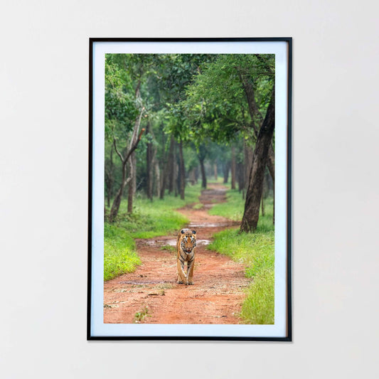 Every road belongs to the King -  Photograph Print with Frame