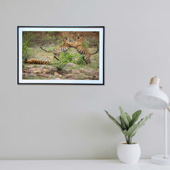 Playtime for some, slumber time for some -  Photograph Print with Frame