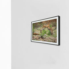 Playtime for some, slumber time for some -  Photograph Print with Frame