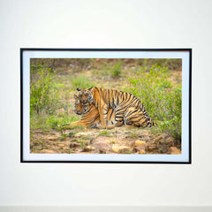 Cosy is such a comfortable feeling -  Photograph Print with Frame