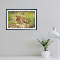 Cosy is such a comfortable feeling -  Photograph Print with Frame