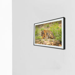 Cosy is such a comfortable feeling -  Photograph Print with Frame