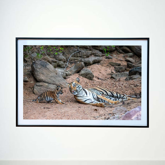 What do you want?  It's my nap time -  Photograph Print with Frame