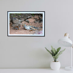 What do you want?  It's my nap time -  Photograph Print with Frame