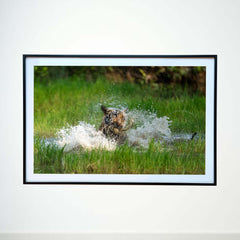 Splish-splash, pure bliss -  Photograph Print with Frame