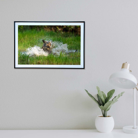 Splish-splash, pure bliss -  Photograph Print with Frame