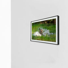 Splish-splash, pure bliss -  Photograph Print with Frame