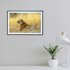 Regal repose  -  Photograph Print with Frame