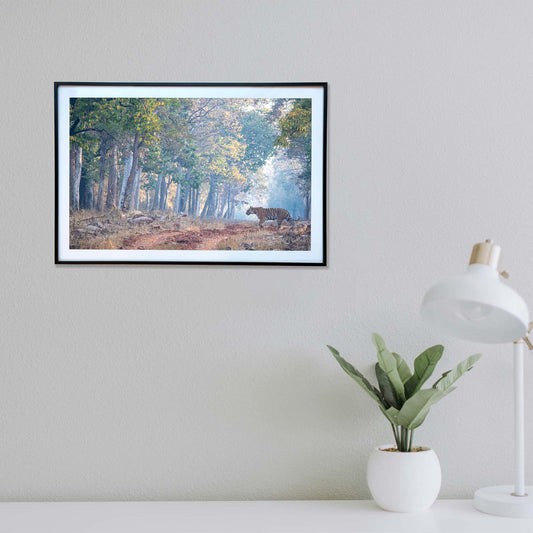 The King patrolling his Kingdom -  Photograph Print with Frame