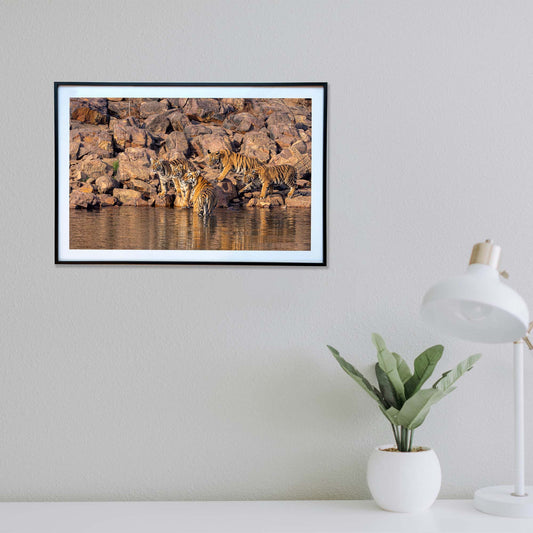 At the lake's edge, soaking in the sun -  Photograph Print with Frame