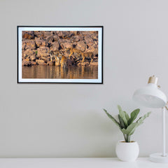 At the lake's edge, soaking in the sun -  Photograph Print with Frame