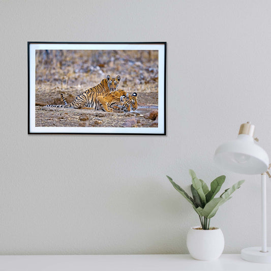 Hurrah, caught his attention -  Photograph Print with Frame