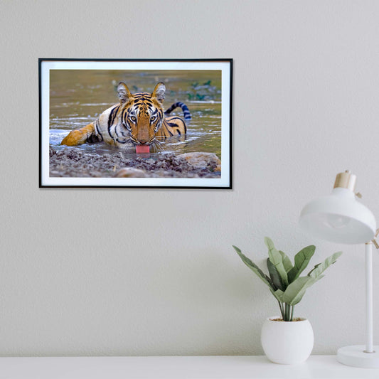 No disturbance, stay away -  Photograph Print with Frame