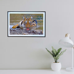 No disturbance, stay away -  Photograph Print with Frame