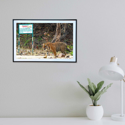 As if the sign wasn't enough -  Photograph Print with Frame