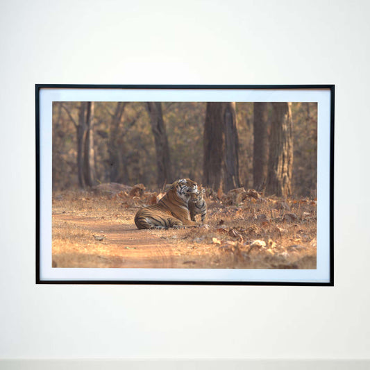 A gentle caress from the fiercest heart -  Photograph Print with Frame