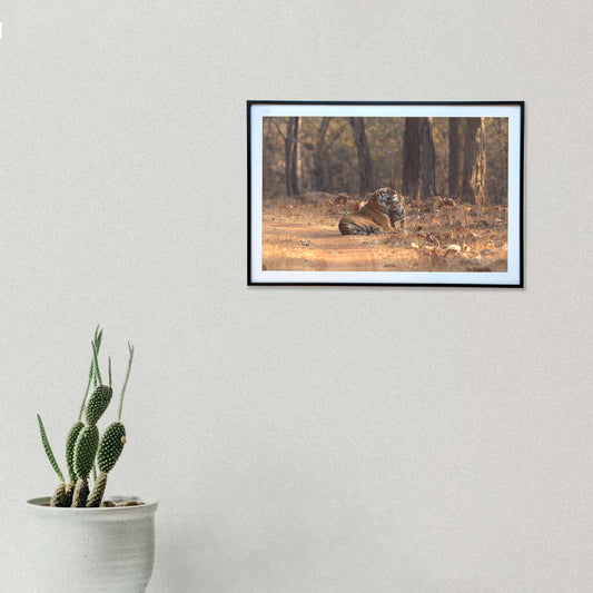 A gentle caress from the fiercest heart -  Photograph Print with Frame