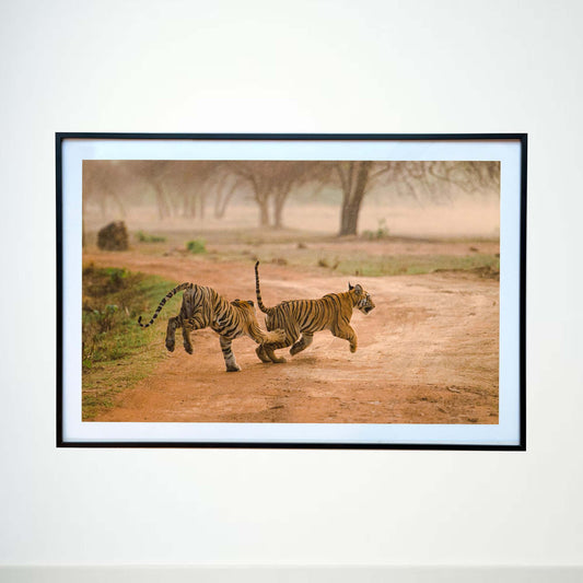 Catch me if you can -  Photograph Print with Frame