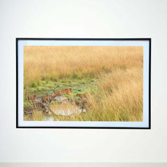 A certification course in navigating uneven terrain -  Photograph Print with Frame