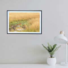 A certification course in navigating uneven terrain -  Photograph Print with Frame