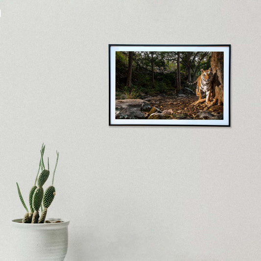 A stride through the wild heart of the forest -  Photograph Print with Frame