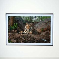 My untamed corner, a moment of rugged tranquility -  Photograph Print with Frame