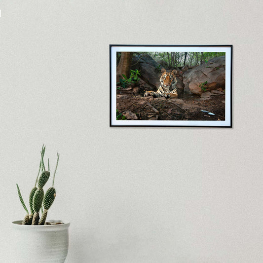 My untamed corner, a moment of rugged tranquility -  Photograph Print with Frame