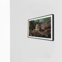 My untamed corner, a moment of rugged tranquility -  Photograph Print with Frame