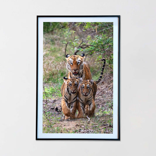 Kids are off to school -  Photograph Print with Frame