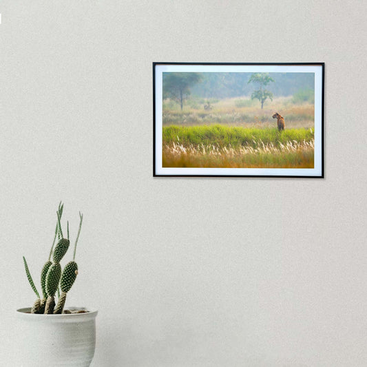 Nature's tapestry, truly worthy of the King -  Photograph Print with Frame